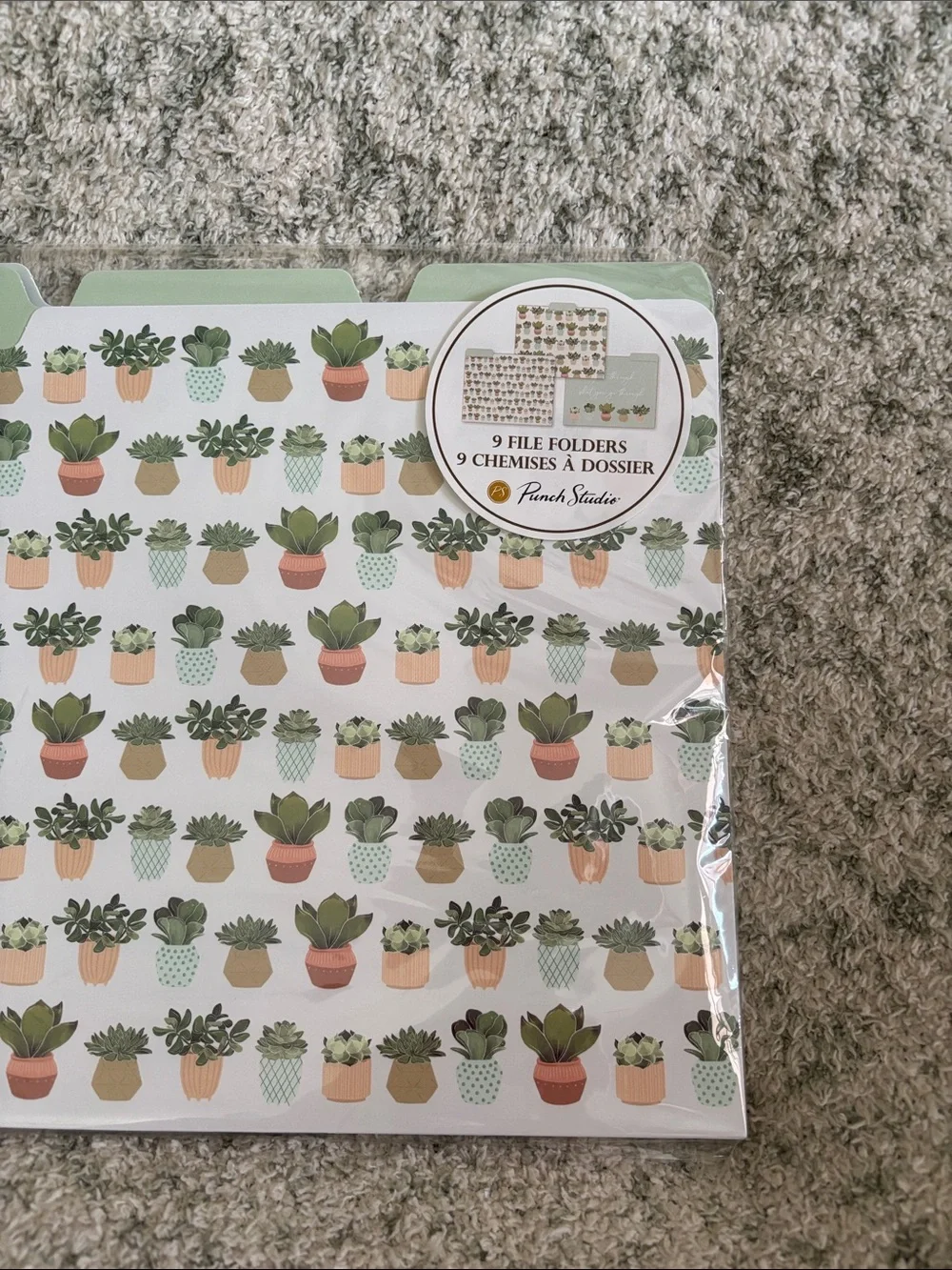 Punch Studio Designer Mint Green Succulent Cactus File Folders Set of 9 NWT